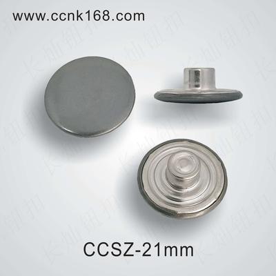 CCSZ-21