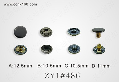 ZY1#486