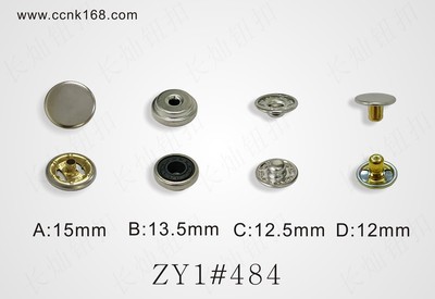 ZY1#484